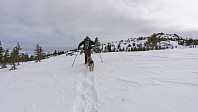 ovega_20170329_58db5d16eb1e6.jpg