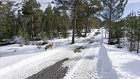 ovega_20170329_58db5f5f1b722.jpg