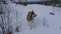 ovega_20170329_58db5f961e837.jpg