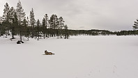 ovega_20170329_58db5fb056323.jpg