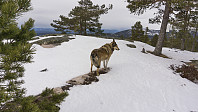 ovega_20170329_58db5fd842fd7.jpg