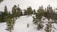 ovega_20170329_58db600da8d91.jpg