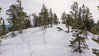 ovega_20170329_58db602a5883b.jpg