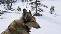ovega_20170329_58db603837ba1.jpg