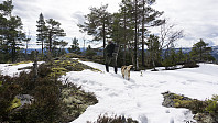 ovega_20170403_58e29d17436e0.jpg