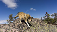 ovega_20170410_58ebdaefe22d4.jpg