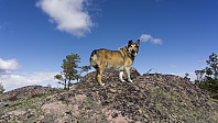 ovega_20170410_58ebdafd5f682.jpg