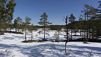 ovega_20170413_58ef2f986fc05.jpg