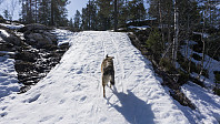 ovega_20170413_58ef2fb3e42a6.jpg