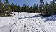 ovega_20170413_58ef2fcee75d9.jpg