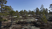 ovega_20170413_58ef2fec15555.jpg