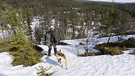 ovega_20170413_58ef3050beaf0.jpg