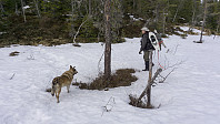 ovega_20170413_58ef307dc60a9.jpg