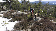 ovega_20170413_58ef30c1e388e.jpg