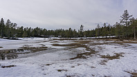 ovega_20170413_58ef30d047c7f.jpg