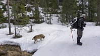 ovega_20170413_58ef30e080572.jpg