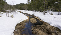 ovega_20170413_58ef30ee17d20.jpg