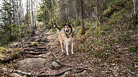 ovega_20170426_59008d9c592c1.jpg
