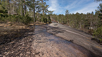 ovega_20170426_59008dbe02475.jpg