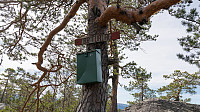 ovega_20170426_59008f063b9d1.jpg