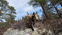 ovega_20170426_5900902b5c62c.jpg