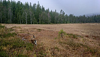 ovega_20181117_5bf0637aaa038.jpeg