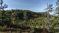 ovega_20181118_5bf19a9b6d89b.jpeg