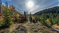 ovega_20181118_5bf19a9d4c246.jpeg
