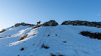 ovega_20181122_5bf709ef9c944.jpeg