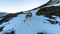 ovega_20181123_5bf85f086b43d.jpeg