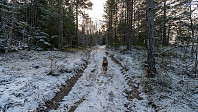 ovega_20181124_5bf9a423d031c.jpeg