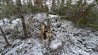 ovega_20181124_5bf9a42c73073.jpeg