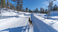 ovega_20190310_5c85643140e23.jpeg