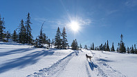 ovega_20190310_5c85643343cb9.jpeg