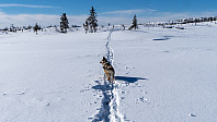ovega_20190310_5c856437149d5.jpeg
