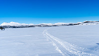 ovega_20190310_5c8564381c0a0.jpeg