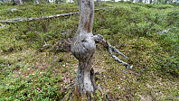 ovega_20190501_5cc9db1c7321c.jpeg