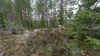 ovega_20190501_5cc9db1eda333.jpeg