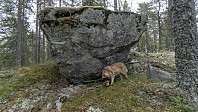 ovega_20190501_5cc9db20e4a51.jpeg
