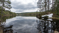 ovega_20190501_5cc9db2a32f66.jpeg