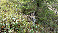 ovega_20190504_5ccd32c2b9317.jpeg