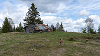 ovega_20190504_5ccd32c4cc2fd.jpeg