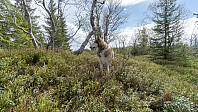 ovega_20190504_5ccd32c87f7a2.jpeg