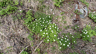 ovega_20190504_5ccd32ce09f12.jpeg