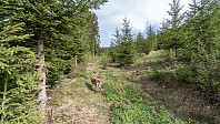 ovega_20190506_5ccfc5cb87e6d.jpeg