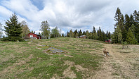 ovega_20190506_5ccfc5cd9c626.jpeg