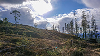ovega_20190508_5cd269538929f.jpeg