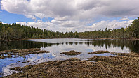 ovega_20190508_5cd32a70aa07e.jpeg