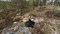 ovega_20190514_5cdaf34a74781.jpeg