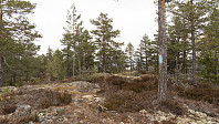 ovega_20190514_5cdaf34e8f5ac.jpeg